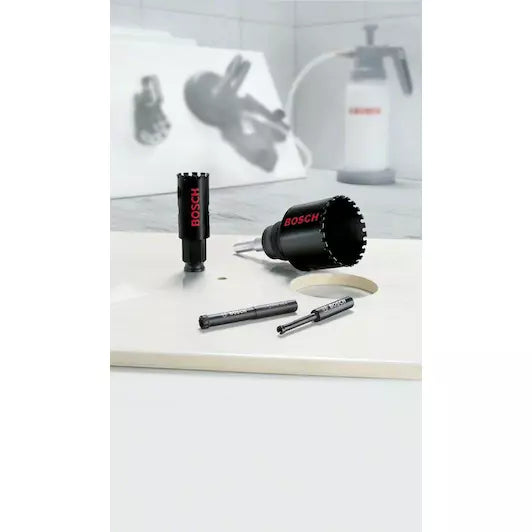 Bosch  2608580317